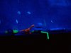 100_2565.jpg