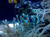 IMG_20101009_110811.jpg