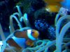 IMG_20101009_110848.jpg