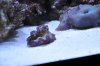 DSC_0302.jpg