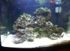 DSCN4152.jpg