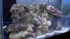 2010-10-15_20-34-39_491.jpg
