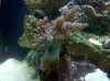 IMG_20101024_091148.jpg