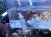2010-10-23_20-46-40_142.jpg