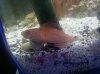2010-10-24_21-44-56_824.jpg
