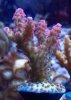 2010-10-29_14-12-36_939.jpg