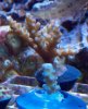 2010-10-29_14-13-47_612.jpg