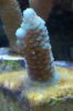 2010-10-29_14-14-26_229.jpg