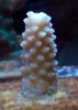 2010-10-29_14-14-51_869.jpg