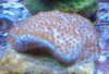 2010-10-29_14-15-01_877.jpg