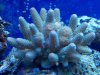 2010-10-29_14-17-07_88.jpg