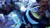 2010-10-29_14-15-57_773.jpg