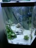 2010-10-30 full tank.jpg