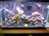 IMG00161-20101030-1629.jpg