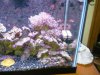 IMG00163-20101030-1629.jpg
