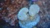 fishtank 007.jpg
