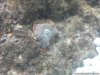 DSCF0351-Optimized.jpg