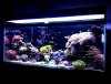 fts2.JPG