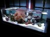 dscn0652.jpg