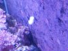 IMG00168-20101106-1102.jpg