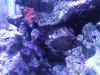 IMG00170-20101106-1103.jpg