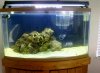 PRE_2010-10-26-124026 (800x590).jpg