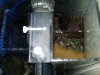 IMG00118-20101111-1005.jpg
