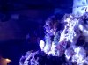 IMG_20101112_194257.jpg