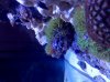 IMG_20101112_194341.jpg