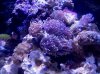 IMG_20101123_190315.jpg