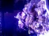 IMG_20101123_190330.jpg