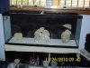DSCI0056.jpg