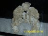 DSCI0058.jpg