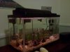 IMG_20101127_181838.jpg