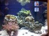IMG_20101127_204927.jpg