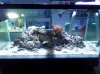 Reduced FTS.jpg