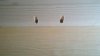 2010-11-26_16-52-48_230.jpg
