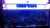 2010-12-04_00-56-50_315.jpg