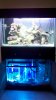 2010-11-26_19-47-44_350.jpg