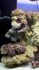 2010-11-30_16-22-49_685.jpg