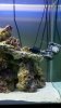 2010-11-30_16-22-27_137.jpg