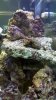 2010-11-30_16-24-11_826.jpg