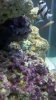 2010-11-30_16-26-30_622.jpg