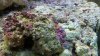 2010-11-30_16-24-42_259.jpg