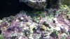 2010-11-30_16-26-10_532.jpg