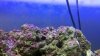 2010-11-30_16-27-00_220.jpg