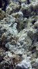 2010-11-30_16-27-39_485.jpg
