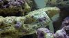 2010-11-30_16-28-11_407.jpg