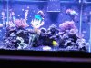 IMG00199-20101204-1244.jpg