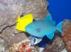 100_1397.jpg